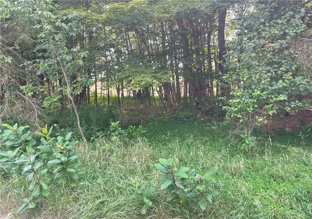 Homes for sale in Masonville, NY | State Hwy 206, Masonville, NY 13804 | MLS# R1679618