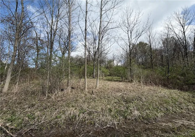 1st image of Rt 167, Warren, NY 13361 | MLS# S1679913