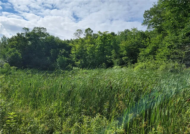 49th image of 145 One Eye, Pharsalia, NY 13844 | MLS# R1680520