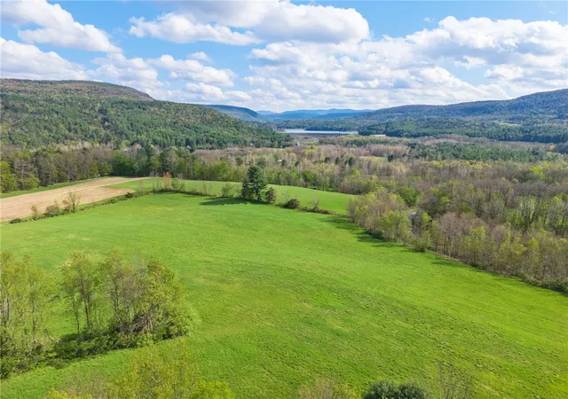 1st image of Westkill Rd, North Blenheim, NY 12131 | MLS# R1680097
