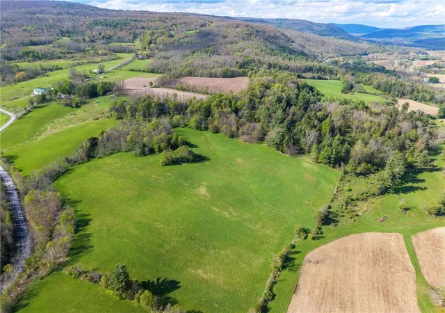 2nd image of Westkill Rd, North Blenheim, NY 12131 | MLS# R1680097