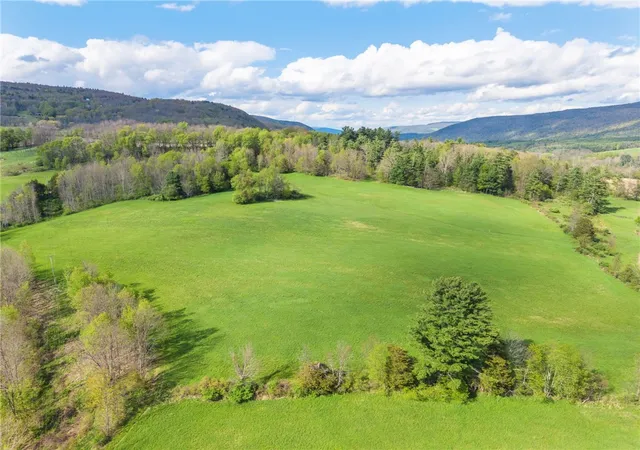 5th image of Westkill Rd, North Blenheim, NY 12131 | MLS# R1680097