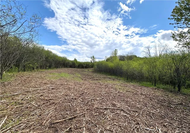 Photo 13 of Land for sale at Glanville Rd, Auburn, NY 13021 | MLS# S1680592 | Listing updated on 2026-07-28