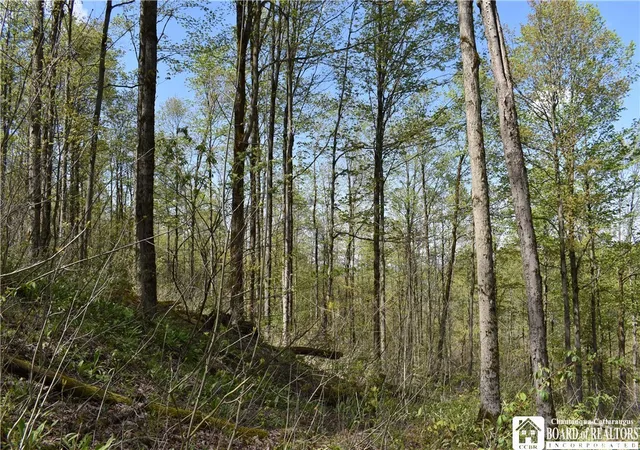 2nd image of Farrington Hollow Rd, Cherry Creek, NY 14723 | MLS# R1680997