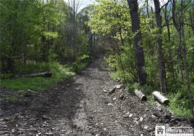 4th image of Farrington Hollow Rd, Cherry Creek, NY 14723 | MLS# R1680997