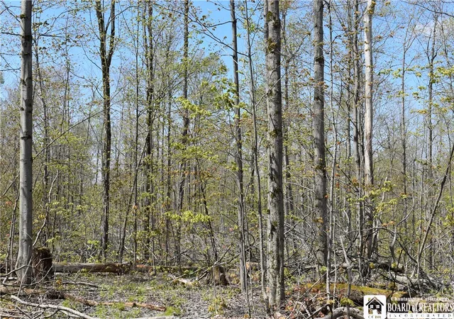 5th image of Farrington Hollow Rd, Cherry Creek, NY 14723 | MLS# R1680997
