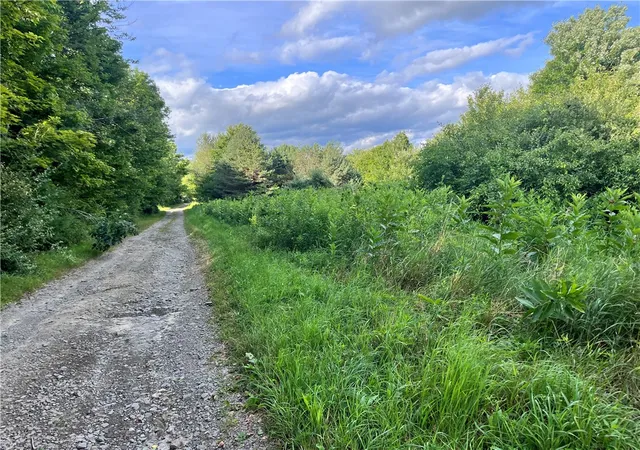 Homes for sale in Erin, NY | Greenbush Rd, Erin, NY 14838 | MLS# R1681054