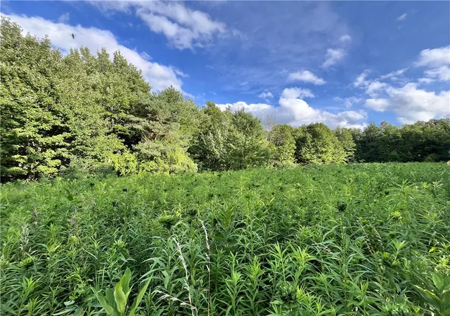 Homes for sale in Erin, NY | Greenbush Rd, Erin, NY 14838 | MLS# R1681054