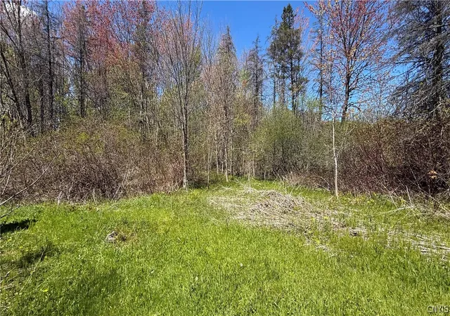 Homes for sale in Granby, NY | 318 Stoney Robby Rd, Granby, NY 13126 | MLS# S1681065