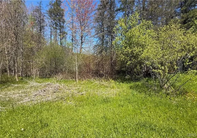 Homes for sale in Granby, NY | 318 Stoney Robby Rd, Granby, NY 13126 | MLS# S1681065
