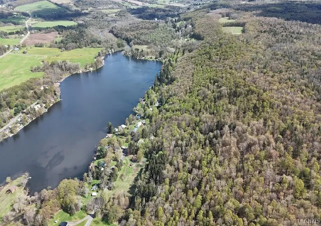 Homes for sale in Summerhill, NY | 1324 Lake Como Rd, Summerhill, NY 13118 | MLS# S1680524