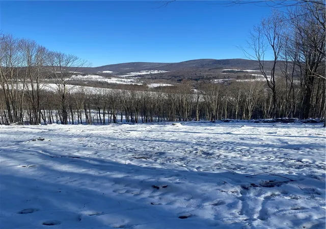 Homes for sale in Bovina, NY | 530 Cape Horn Rd, Bovina, NY 13740 | MLS# R1675580