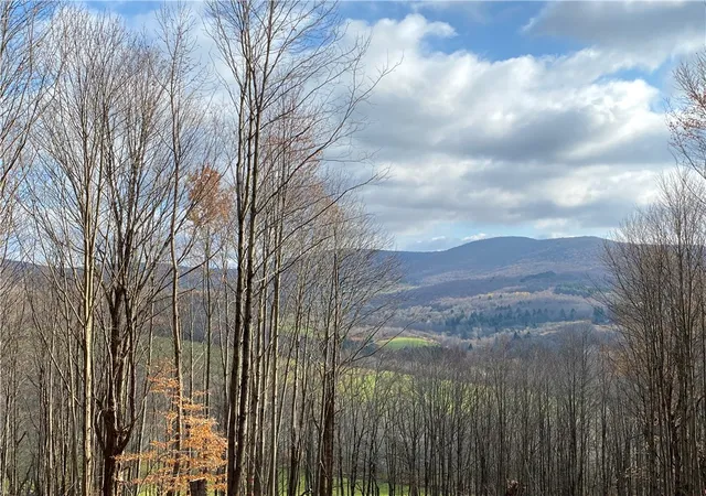 Homes for sale in Bovina, NY | 530 Cape Horn Rd, Bovina, NY 13740 | MLS# R1675580