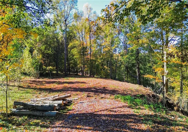 1st image of Harrison Ave, Ilion, NY 13357 | MLS# S1681499