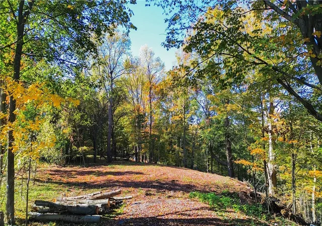 Photo 3 of Land for sale at Harrison Ave, Ilion, NY 13357 | MLS# S1681499 | Listing updated on 2026-07-31