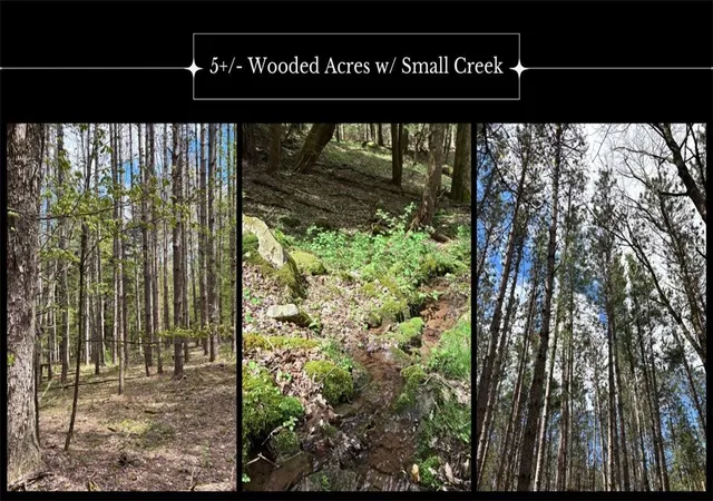 Homes for sale in Kortright, NY | Lot 16 Putnam Rd, Kortright, NY 13750 | MLS# R1681494