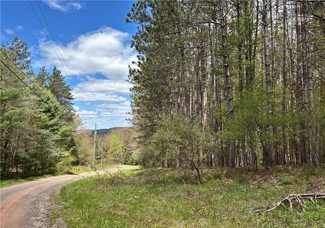 Homes for sale in Kortright, NY | Lot 16 Putnam Rd, Kortright, NY 13750 | MLS# R1681494