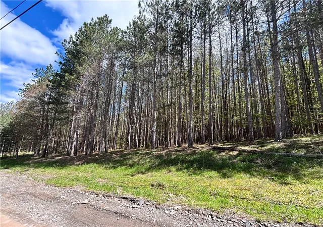Homes for sale in Kortright, NY | Lot 16 Putnam Rd, Kortright, NY 13750 | MLS# R1681494