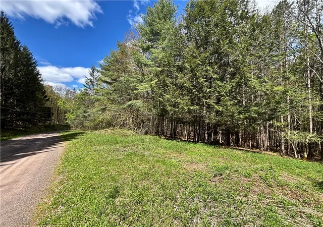 Homes for sale in Kortright, NY | Lot 16 Putnam Rd, Kortright, NY 13750 | MLS# R1681494