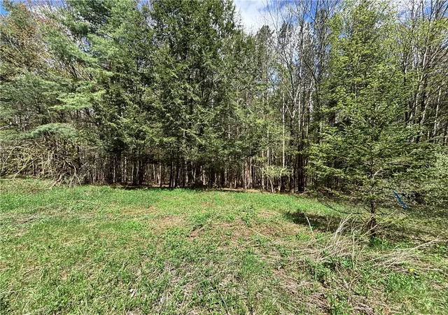 Homes for sale in Kortright, NY | Lot 16 Putnam Rd, Kortright, NY 13750 | MLS# R1681494