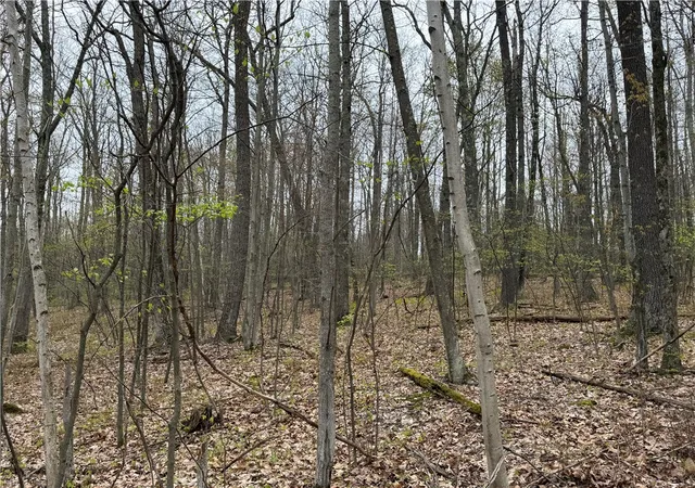 Homes for sale in Erwin, NY | Hilltop Rd, Erwin, NY 14830 | MLS# R1681667