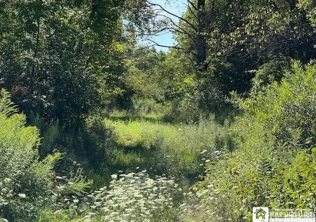 Photo 3 of Land for sale at W Oak Hl Rd, Fluvanna, NY 14701 | MLS# R1681457 | Listing updated on 2026-05-14