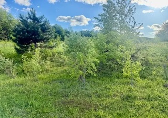 11th image of Ridgeview Rd, Plymouth, NY 13832 | MLS# R1681764