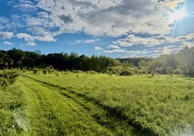 4th image of Ridgeview Rd, Plymouth, NY 13832 | MLS# R1681764