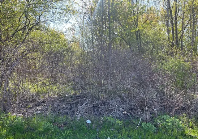Photo 3 of Sale Pending at 212 Dunning Ave, Auburn, NY 13021 | MLS# S1681901 | Listing updated on 2026-08-03