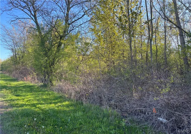 Photo 4 of Sale Pending at 212 Dunning Ave, Auburn, NY 13021 | MLS# S1681901 | Listing updated on 2026-08-03