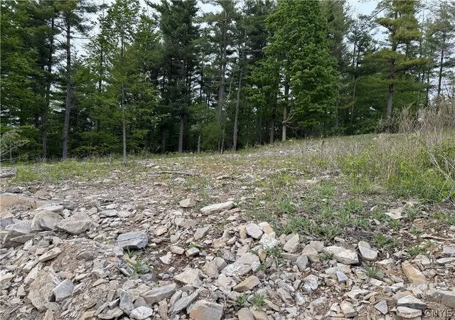 Photo 2 of Sale Pending at 4642 Pauli Dr, Manlius, NY 13104 | MLS# S1681968 | Listing updated on 2026-07-30