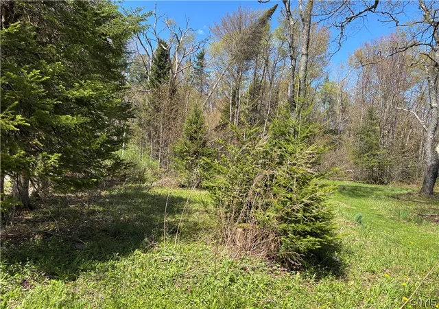 Homes for sale in Remsen, NY | 3960 Susquehannah St, Remsen, NY 13438 | MLS# S1681834
