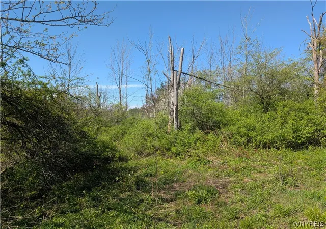 18th image of Murray Hill Rd, Boston, NY 14025 | MLS# B1682167