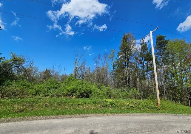1st image of Murray Hill Rd, Boston, NY 14025 | MLS# B1682167