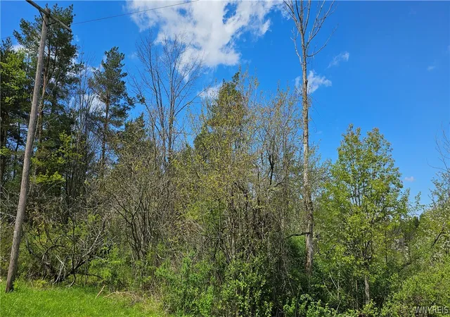 4th image of Murray Hill Rd, Boston, NY 14025 | MLS# B1682167