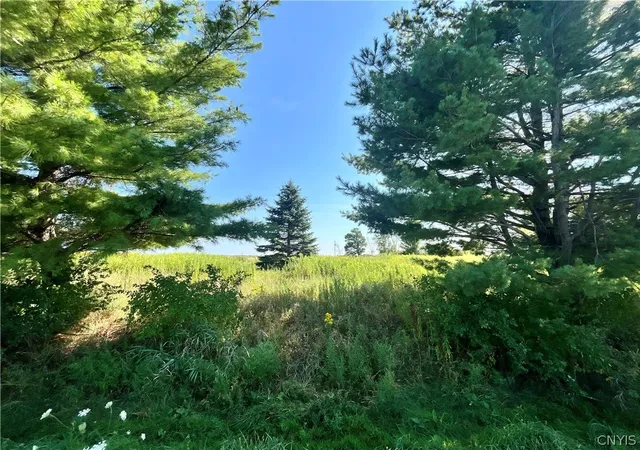 Homes for sale in Theresa, NY | 24458 Dano Rd, Theresa, NY 13691 | MLS# S1681787