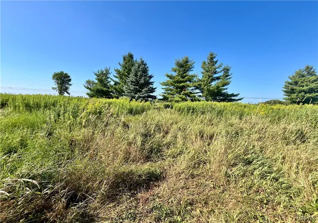 Homes for sale in Theresa, NY | 24458 Dano Rd, Theresa, NY 13691 | MLS# S1681787