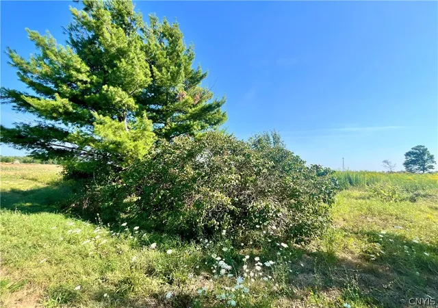 Homes for sale in Theresa, NY | 24458 Dano Rd, Theresa, NY 13691 | MLS# S1681787