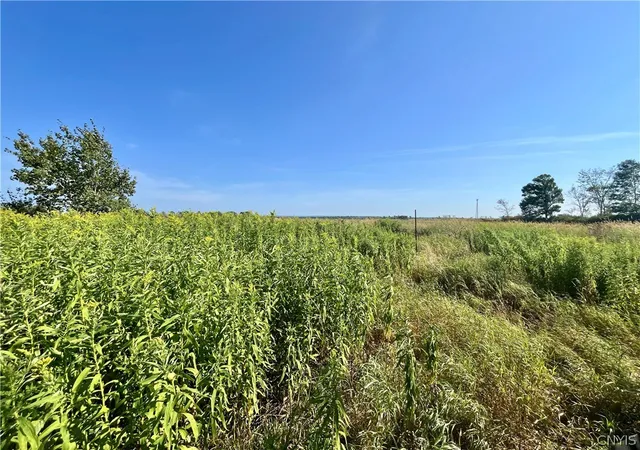 Homes for sale in Theresa, NY | 24458 Dano Rd, Theresa, NY 13691 | MLS# S1681787