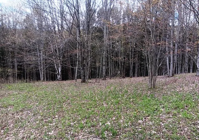 4th image of 1122 West Hill Road, Worcester, NY 12197 | MLS# R1678223