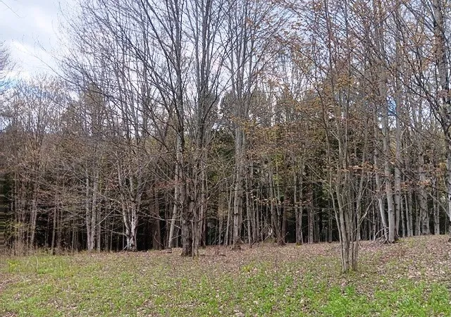 5th image of 1122 West Hill Road, Worcester, NY 12197 | MLS# R1678223