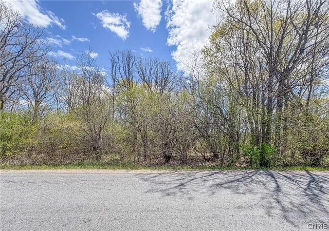 Homes for sale in Clayton, NY | Old Town Springs Rd, Clayton, NY 13622 | MLS# S1681679