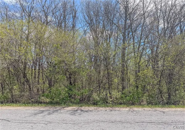 Homes for sale in Clayton, NY | Old Town Springs Rd, Clayton, NY 13622 | MLS# S1681679
