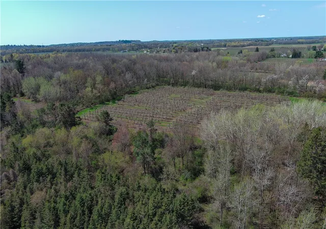 Homes for sale in Sodus, NY | 7310 Lake Rd, Sodus, NY 14551 | MLS# R1682240
