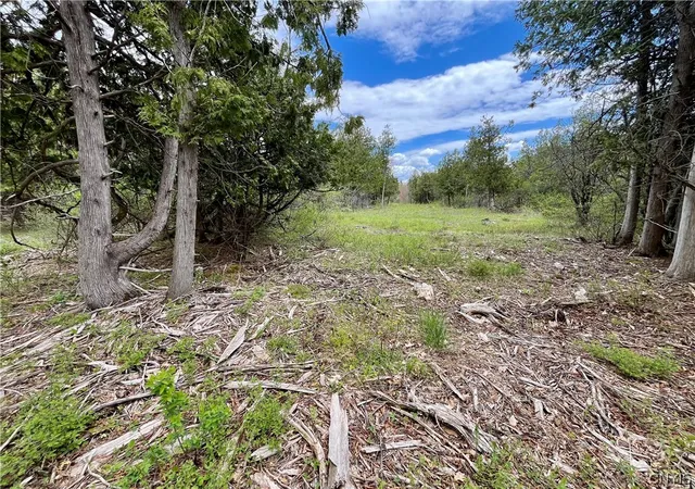 9th image of Lot 4 Thompson Trail Dr, Dexter, NY 13634 | MLS# S1682279