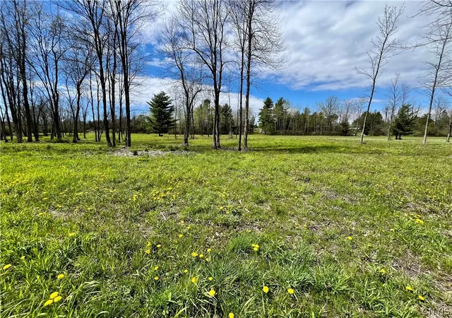 Photo 15 of Land for sale at Lot 2b Thompson Trl Dr, Brownville, NY 13634 | MLS# S1682287 | Listing updated on 2026-07-28