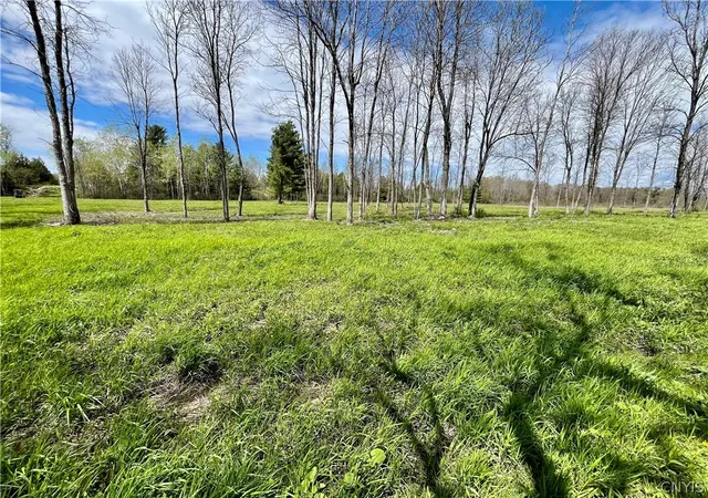 Photo 11 of Land for sale at Lot 2c Thompson Trl Dr, Brownville, NY 13634 | MLS# S1682289 | Listing updated on 2026-07-28