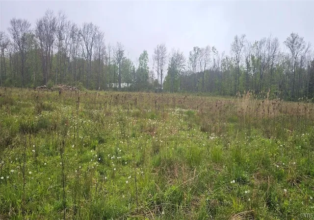 Homes for sale in Sodus, NY | Rotterdam Rd, Sodus, NY 14551 | MLS# S1682393