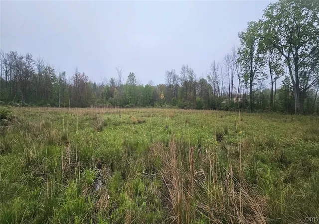 Homes for sale in Sodus, NY | Rotterdam Rd, Sodus, NY 14551 | MLS# S1682393