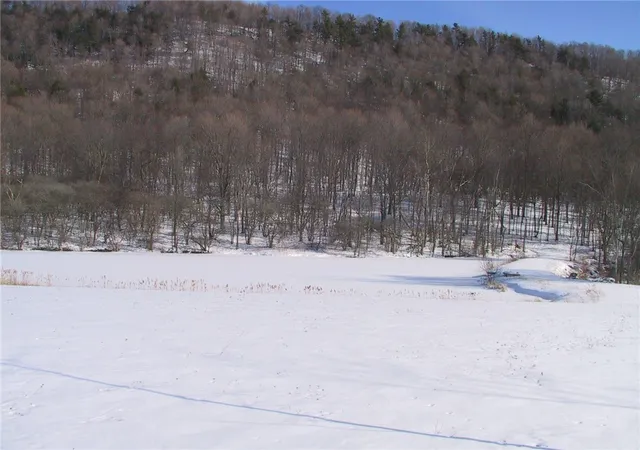 48th image of 10848 State Route 371, Cohocton, NY 14826 | MLS# R1676020